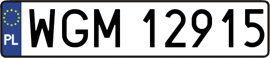 WGM12915
