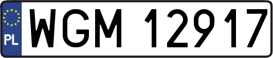 WGM12917