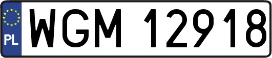 WGM12918