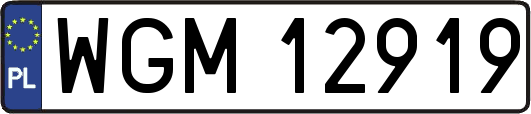 WGM12919
