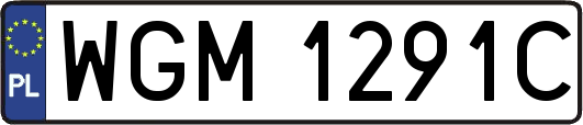 WGM1291C