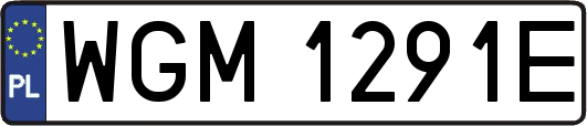 WGM1291E