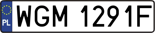 WGM1291F