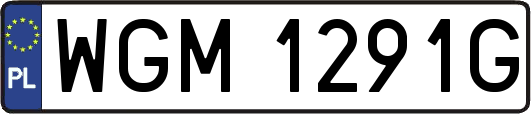WGM1291G