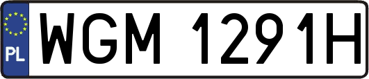 WGM1291H