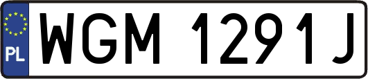 WGM1291J