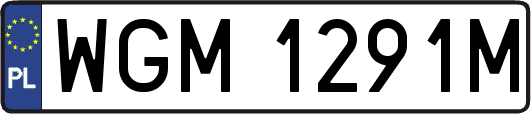 WGM1291M