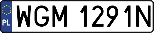 WGM1291N