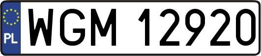 WGM12920