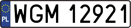 WGM12921