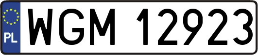 WGM12923