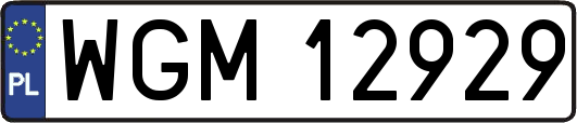 WGM12929