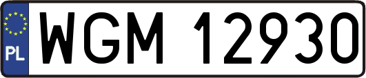 WGM12930