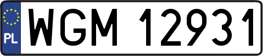 WGM12931