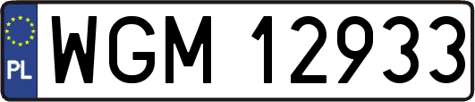 WGM12933