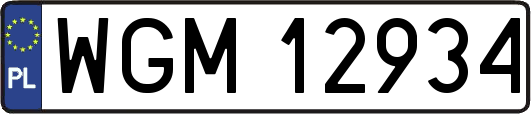 WGM12934