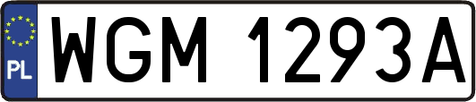 WGM1293A