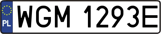WGM1293E