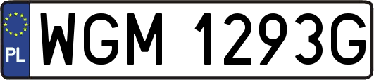 WGM1293G