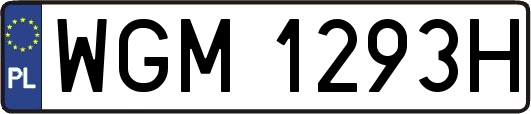 WGM1293H