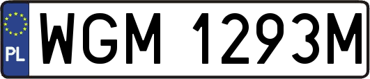 WGM1293M