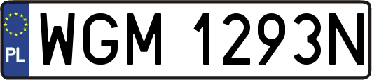 WGM1293N