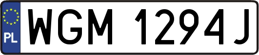 WGM1294J