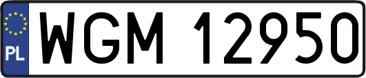 WGM12950