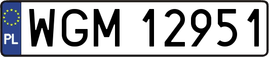 WGM12951