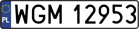 WGM12953