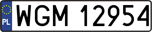 WGM12954