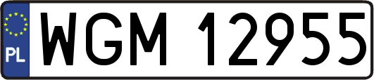 WGM12955