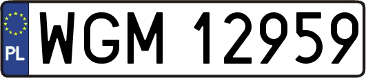 WGM12959