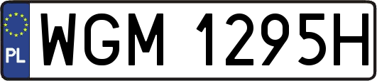 WGM1295H