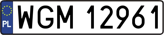 WGM12961