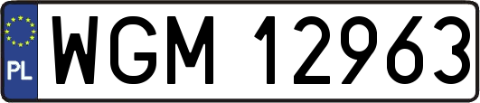 WGM12963