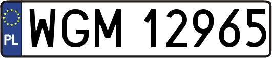 WGM12965