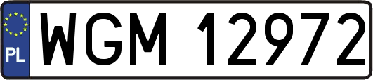 WGM12972