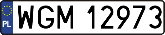 WGM12973