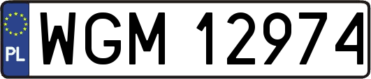 WGM12974
