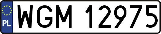 WGM12975