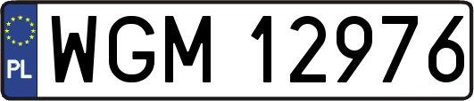 WGM12976