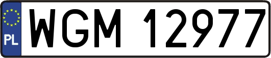 WGM12977