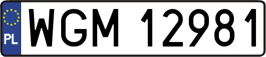 WGM12981