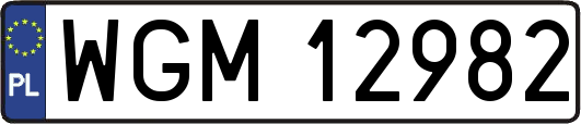 WGM12982