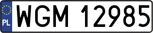 WGM12985