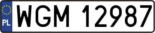 WGM12987