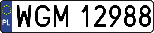 WGM12988