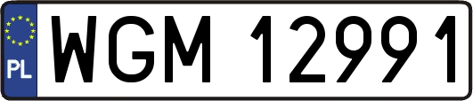 WGM12991
