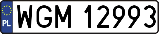WGM12993